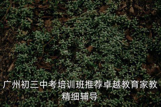 廣州中團文化，廣州初三中考培訓班推薦卓越教育家教精細輔導
