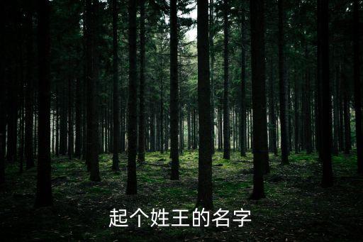 起個姓王的名字