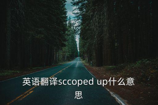 scooped，英語翻譯sccoped up什么意思
