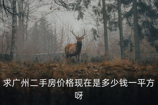 求廣州二手房價格現在是多少錢一平方呀