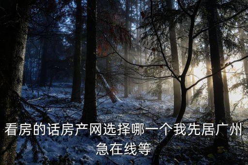 看房的話房產網選擇哪一個我先居廣州急在線等