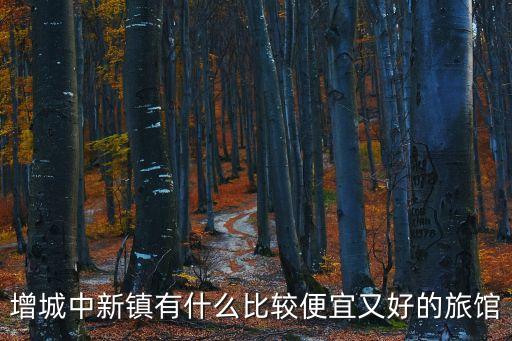 增城中新鎮(zhèn)有什么比較便宜又好的旅館