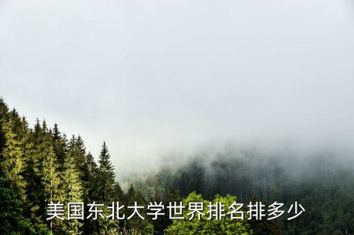 東北大學世界排名，美國東北大學世界排名排多少