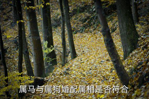 狗和馬相配嗎，屬馬與屬狗婚配屬相是否符合