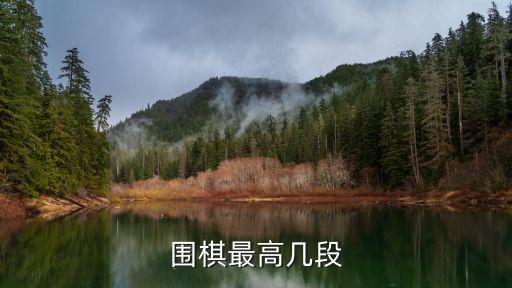 圍棋最高幾段