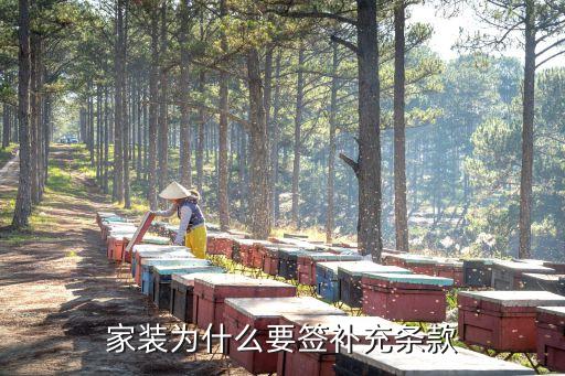 補充條款，家裝為什么要簽補充條款