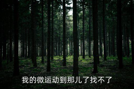 微運動，我的微運動到那兒了找不了