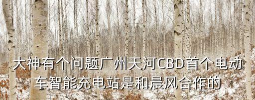廣州市智能電瓶車充電樁生產廠家，廣東有那些充電樁廠家大的最好比較有實力的我們針對的是公交