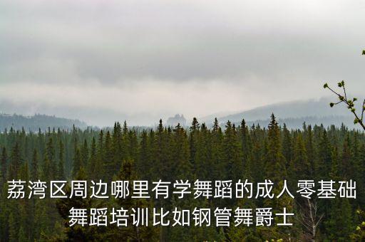 荔灣區(qū)周邊哪里有學(xué)舞蹈的成人零基礎(chǔ)舞蹈培訓(xùn)比如鋼管舞爵士