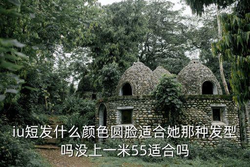iu短發什么顏色圓臉適合她那種發型嗎沒上一米55適合嗎