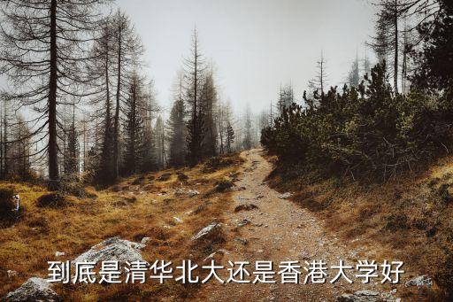 到底是清華北大還是香港大學好
