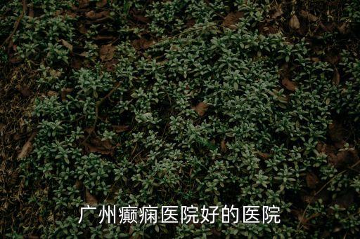 廣州癲癇醫院好的醫院