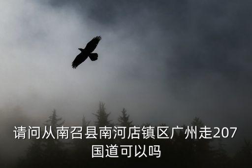 請問從南召縣南河店鎮(zhèn)區(qū)廣州走207國道可以嗎