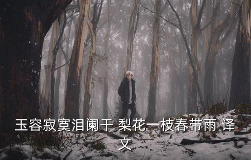 玉容寂寞淚闌干 梨花一枝春帶雨 譯文
