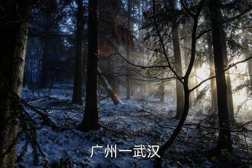 廣州一武漢