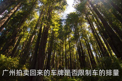 廣州競價成功后上牌要求，廣州拍賣回來的車牌是否限制車的排量