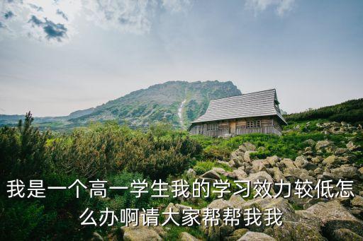 我是一個高一學(xué)生我的學(xué)習(xí)效力較低怎么辦啊請大家?guī)蛶臀椅? class=