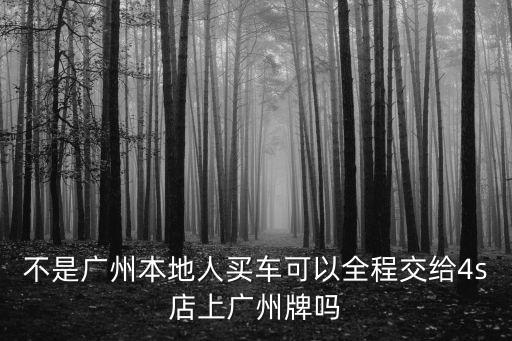 廣州當地人提車，廣州本地人買車 沒駕駛證能拍牌嗎
