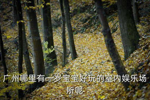 廣州哪里有一歲寶寶好玩的室內娛樂場所呢