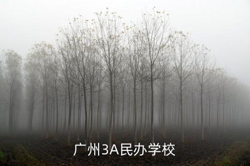廣州A類民辦學校，廣州3A民辦學校