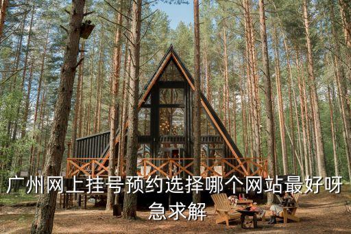 廣州網(wǎng)上掛號(hào)預(yù)約選擇哪個(gè)網(wǎng)站最好呀 急求解