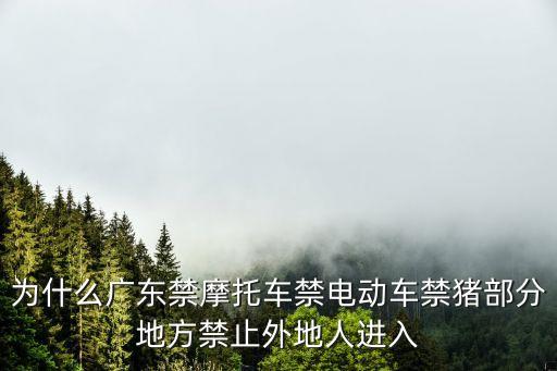為什么廣東禁摩托車禁電動車禁豬部分地方禁止外地人進入