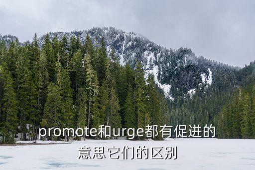 promote和urge都有促進(jìn)的意思它們的區(qū)別