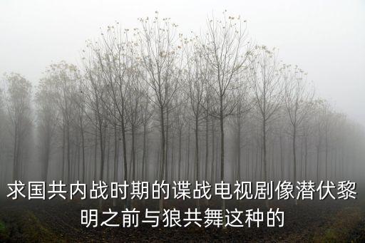 求國共內戰時期的諜戰電視劇像潛伏黎明之前與狼共舞這種的