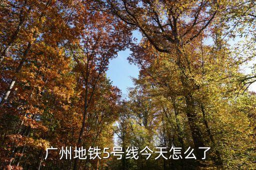 廣州地鐵站近況，廣州地鐵5號線今天怎么了