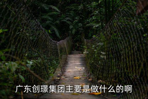 廣東創(chuàng)璟集團主要是做什么的啊