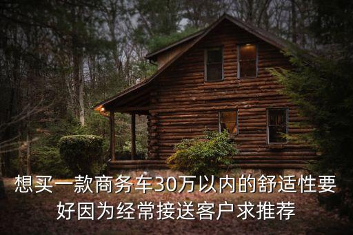 想買一款商務車30萬以內的舒適性要好因為經常接送客戶求推薦