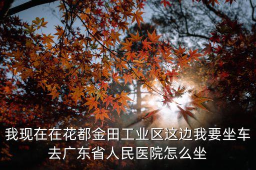 我現在在花都金田工業區這邊我要坐車去廣東省人民醫院怎么坐