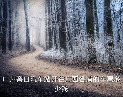 廣州窖口客運站到合浦多少錢，窖口客運站到廣西合浦春運的車費