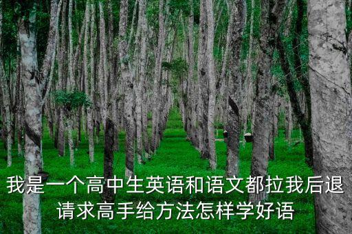 時代作文微博，馬伊琍和文章離婚嗎