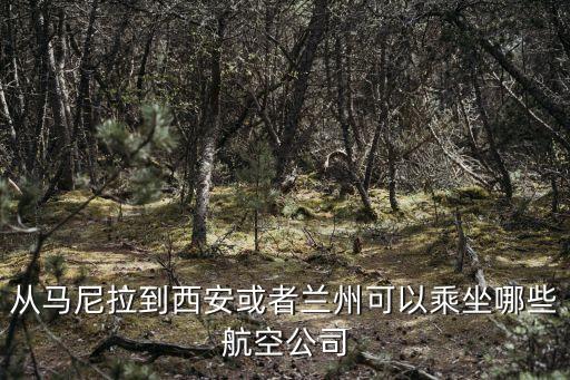 從馬尼拉到西安或者蘭州可以乘坐哪些航空公司