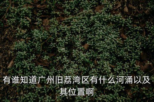 有誰知道廣州舊荔灣區有什么河涌以及其位置啊
