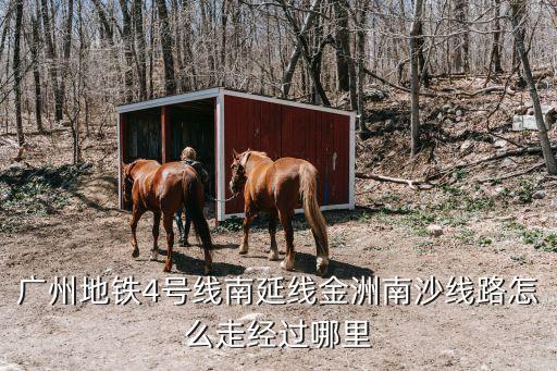 廣州地鐵南沙客運(yùn)港站幾號(hào)線，廣州地鐵4號(hào)線南延線金洲南沙線路怎么走經(jīng)過哪里