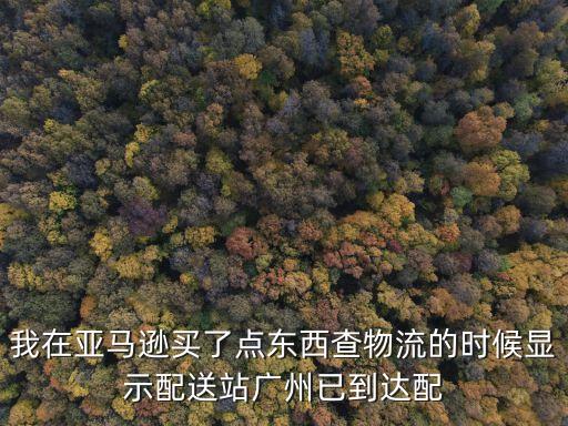 亞馬遜物流 廣州，在美國的網站上買東西如何寄到中國的廣州