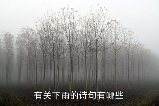 下雨的詩，描寫雨的詩