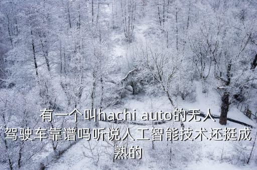 有一個叫hachi auto的無人駕駛車靠譜嗎聽說人工智能技術還挺成熟的