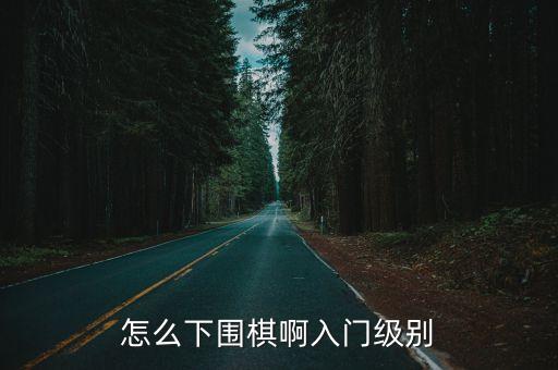 怎么下圍棋啊入門級別