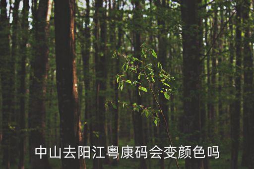 中山去陽江粵康碼會(huì)變顏色嗎