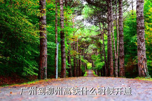 柳州到廣州鐵路新聞，8月3號柳州至廣州南的高鐵會受臺風的影響停運嗎