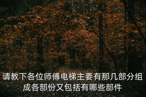 請教下各位師傅電梯主要有那幾部分組成各部份又包括有哪些部件
