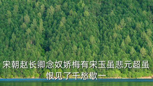 宋朝趙長卿念奴嬌梅有宋玉雖悲元超雖恨見了千愁歇一