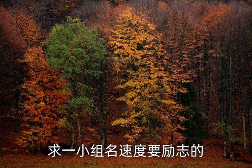 小組名，給小組起一個好聽的名字