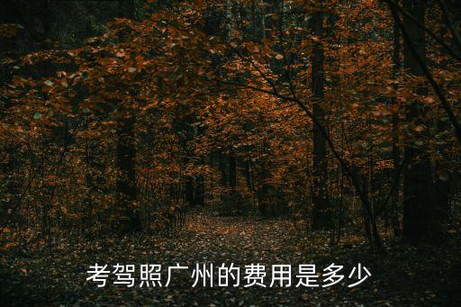 廣州星火駕校報名費，星火駕校3000包過貴嗎