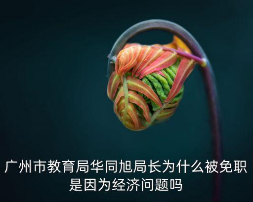廣州教育局最新事件，今天居然接到通知不用補(bǔ)課我廣東高三的教育局怎么突然停止呢