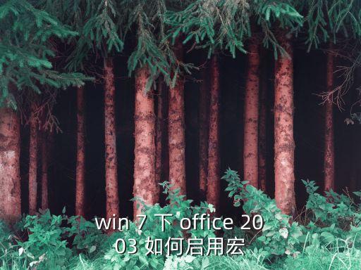 如何啟用宏功能，win 7 下 office 2003 如何啟用宏