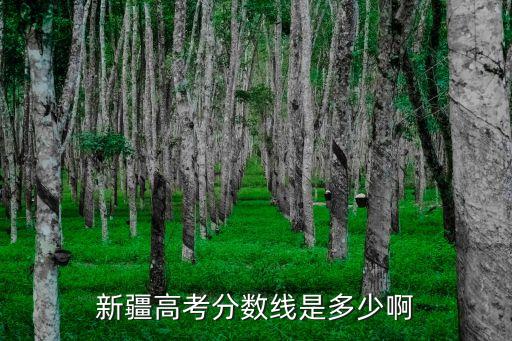 新疆高考分數，新疆高考分數線是多少啊